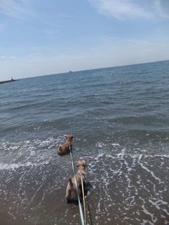 12051317.jpg