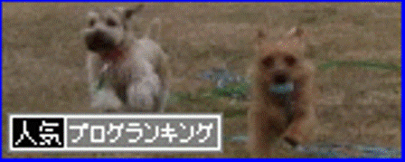 br_decobanner_20100212165057.gif