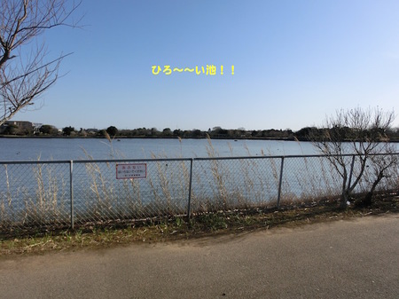 CIMG3261.jpg